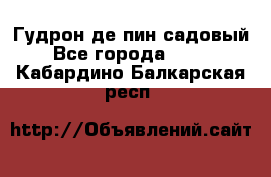 Гудрон де пин садовый - Все города  »    . Кабардино-Балкарская респ.